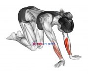 Wrist Radial Deviator And Flexor Stretch