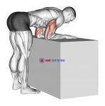 Elbow Extensor Anconeus Stretch