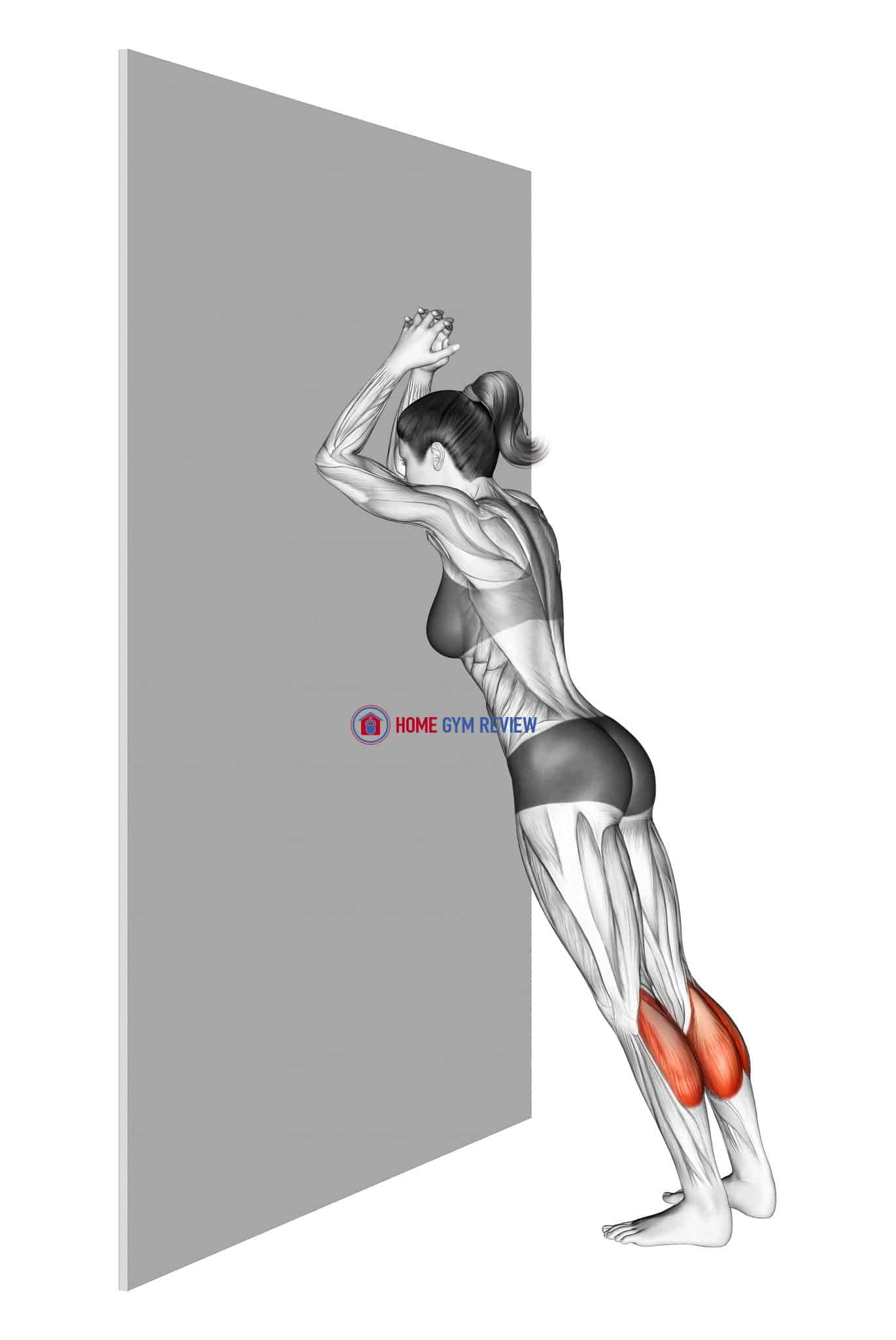 Calves Stretch Static Position Home Gym Review