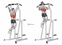 Wide Grip Pull-Up on Dip Cage