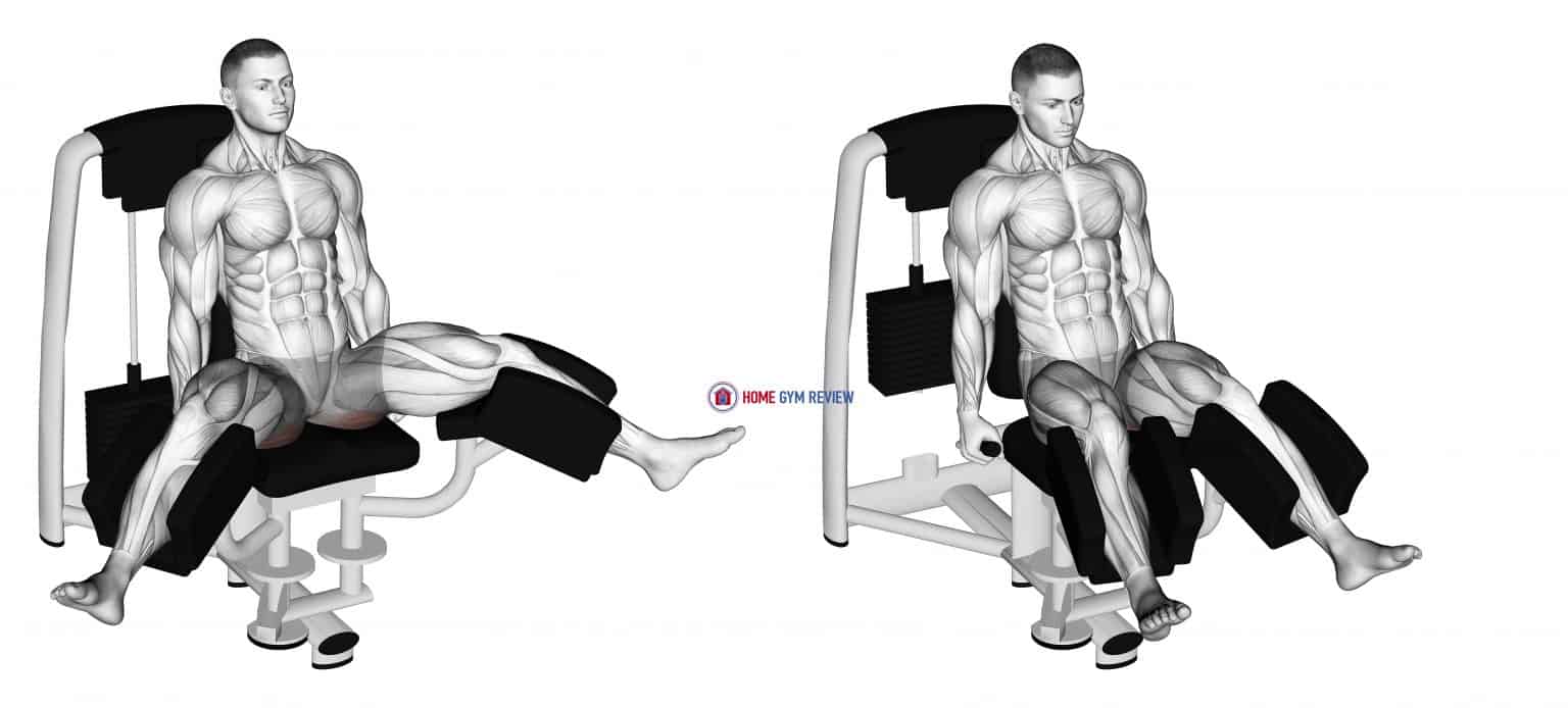 Lever Seated Hip Adduction (VERSION 2) - Home Gym Review