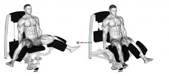 Lever Seated Hip Adduction (VERSION 2)