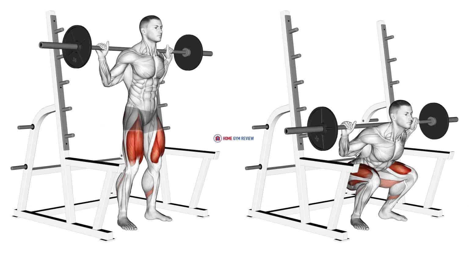 Barbell Low Bar Squat with Rack - Home Gym Review