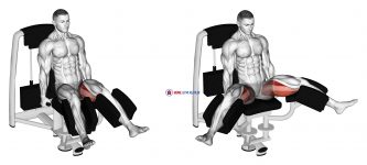 Lever Seated Hip Abduction (VERSION 2)