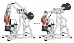 Lever Lateral Pulldown (plate loaded)