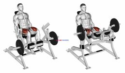 Lever Leg Extension (plate loaded)