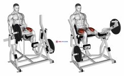 Lever Alternate Leg Extension (plate loaded)