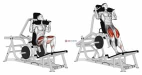 Lever Squat (plate loaded)