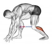 Crouching Heel Back Achilles Stretch