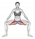 Standing Wide Knees Adductor Stretch