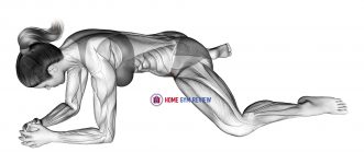 Kneeling Face Down Adductor Stretch