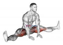Sitting Wide Leg Adductor Stretch