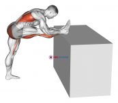 Raised Leg Knee Flexor Stretch
