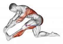 Kneeling Toe Up Hamstring Stretch