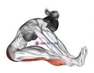 Seated Knee Flexor Stretch