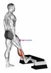 Standing Toe Up Calf Stretch