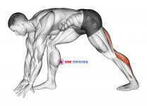 Crouching Heel Back Calf Stretch