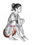 Hip And Knee Flexion Squatting Stretch