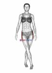 Standing Iliotibial Stretch