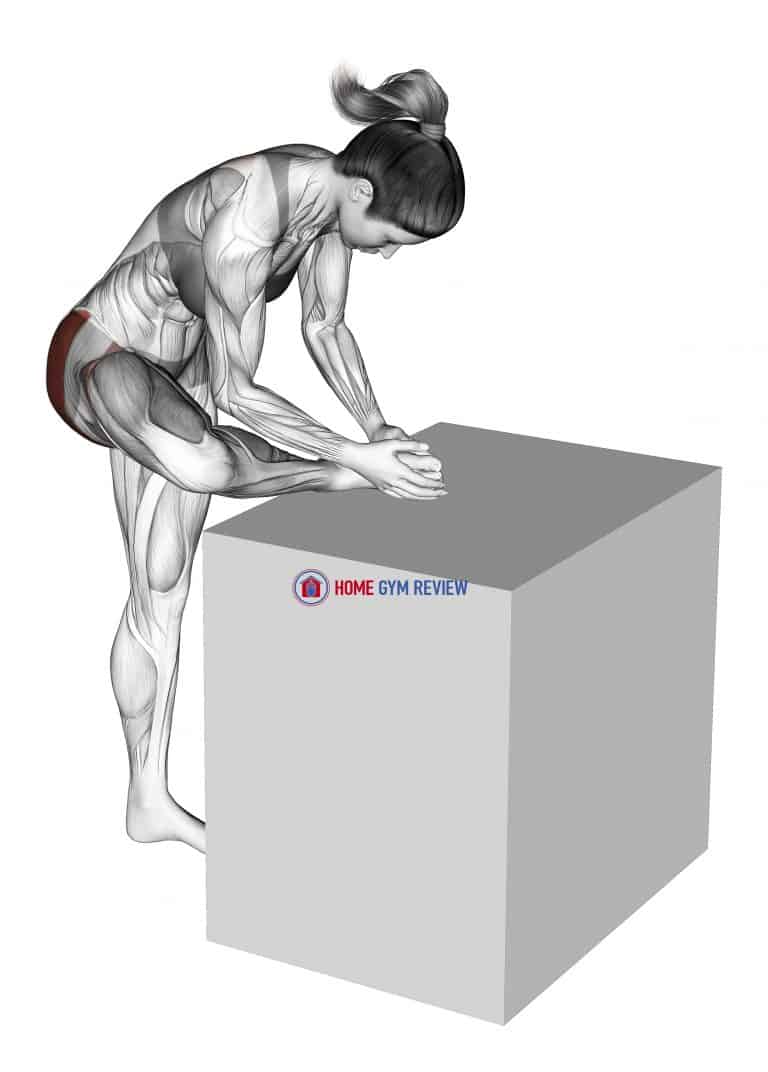 Hip External Rotator Stretch - Home Gym Review