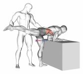 Assisted One Leg Extension