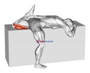 Quadriceps Stretch On Box
