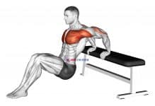 Sitting Shoulders Stretch On Bench