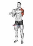 Across Chest Shoulder Stretch