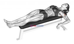 Internal Shoulder Rotation Stretch