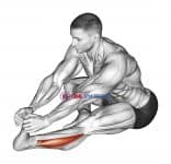Sitting Toe Pull Calf Stretch