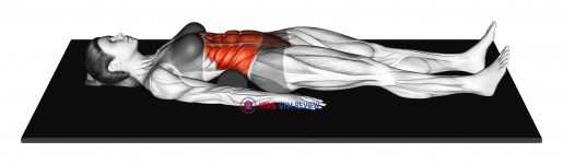 Lower Trunk Flexor Stretch