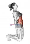 Kneeling Abdominal Stretch