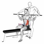 Assisted Obliques Stretch