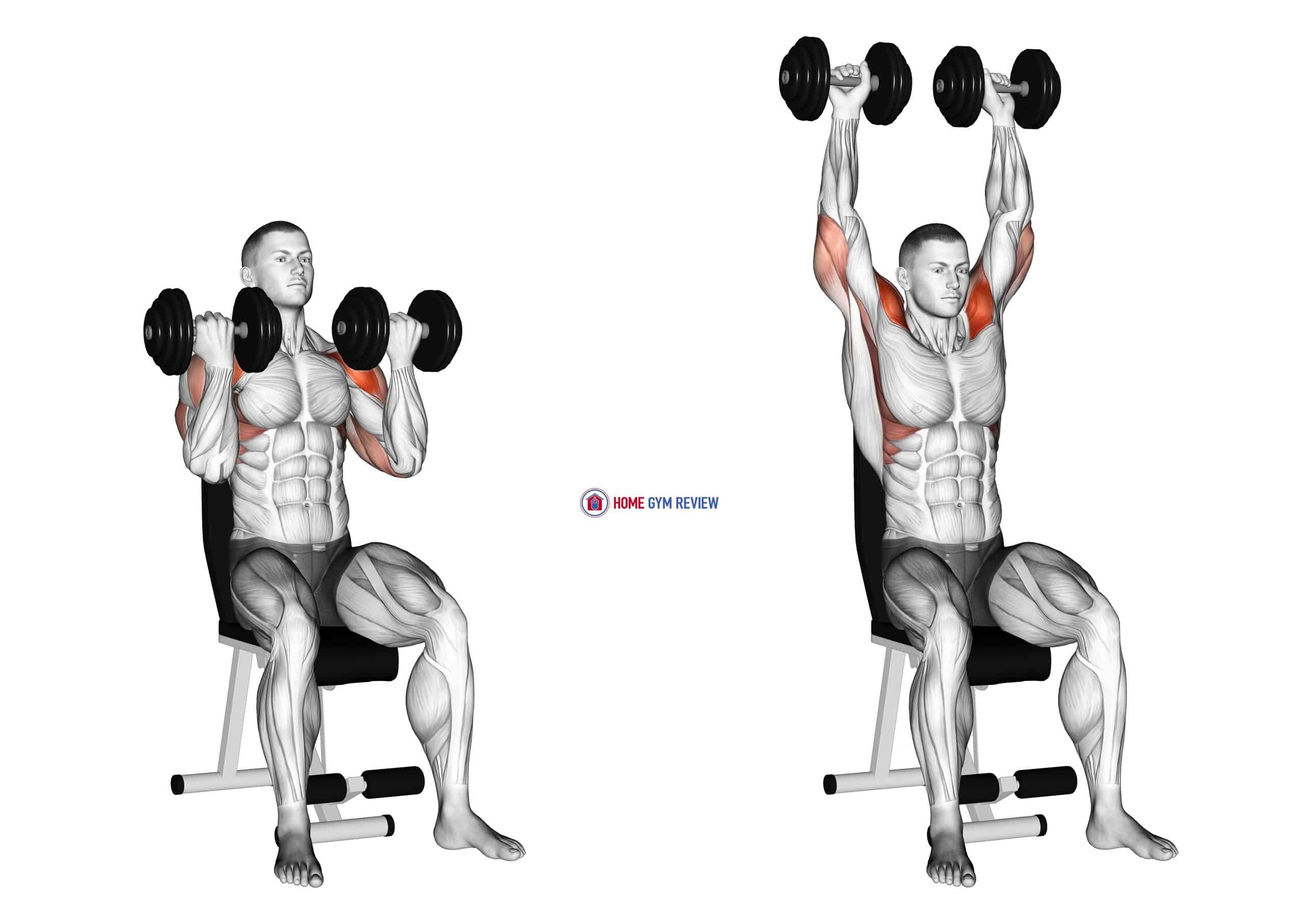 Dumbbell Arnold Press Home Gym Review
