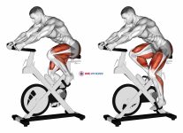 Stationary Bike Run (version 3)