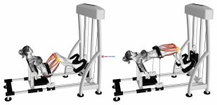 Lever Hip Thrust With Resistance Band