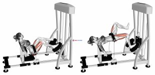 Lever Single Leg Hip Thrust