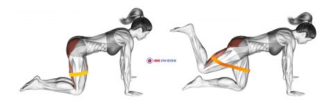 Resistance Band Bent Leg Kickback (Kneeling)