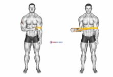 Resistance Band External Rotation