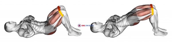 Resistance Band Glute Bridge