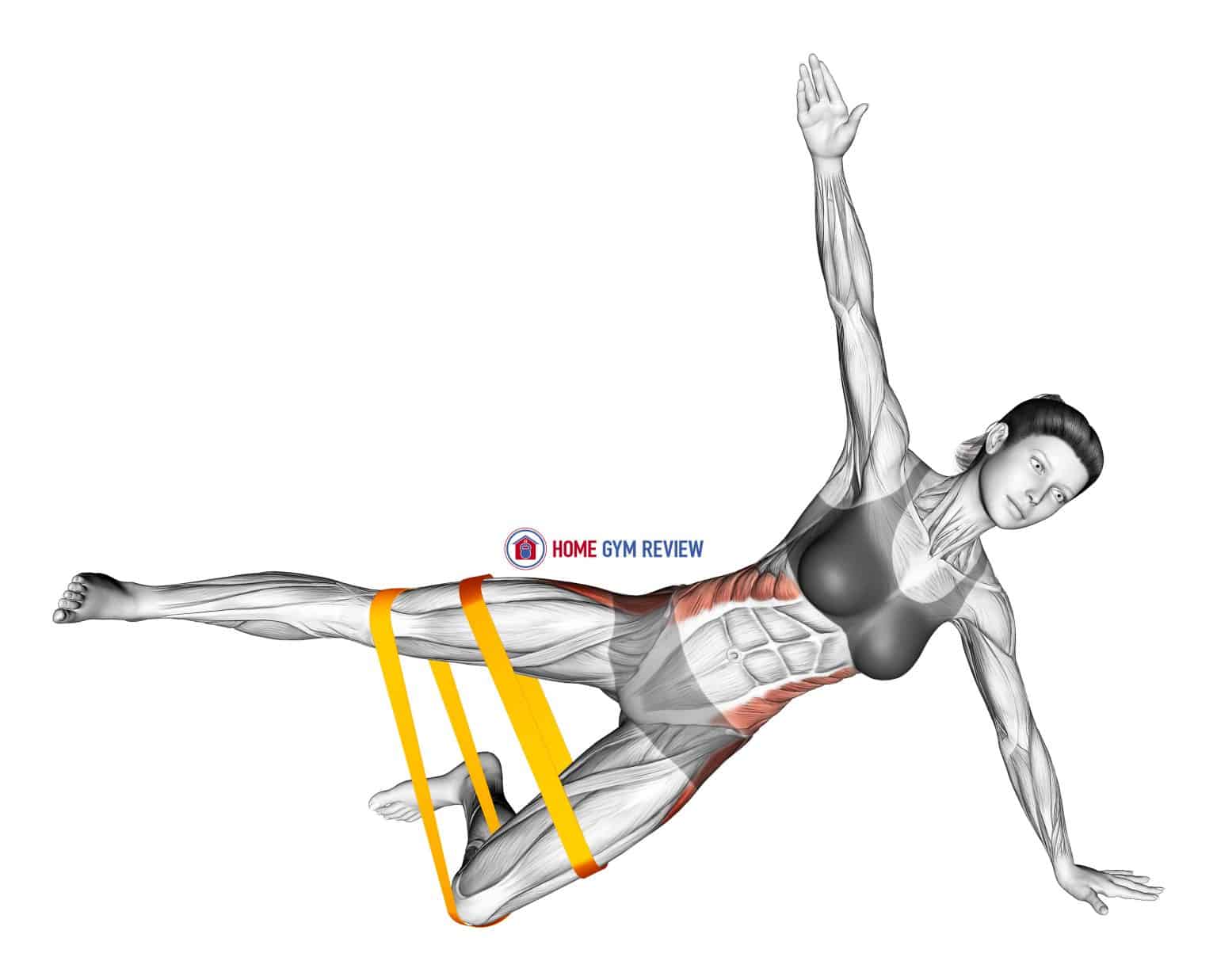 Resistance Band Kneeling Side Plank Home Gym Review