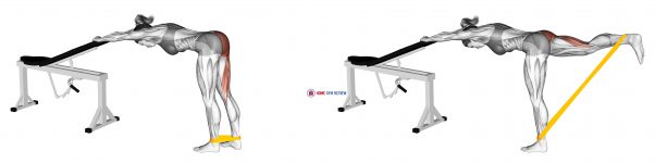 Resistance Band One Leg Kickback (Bent Position)