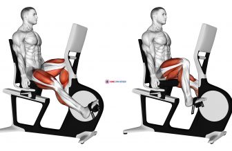 Bicycle Recline Walk