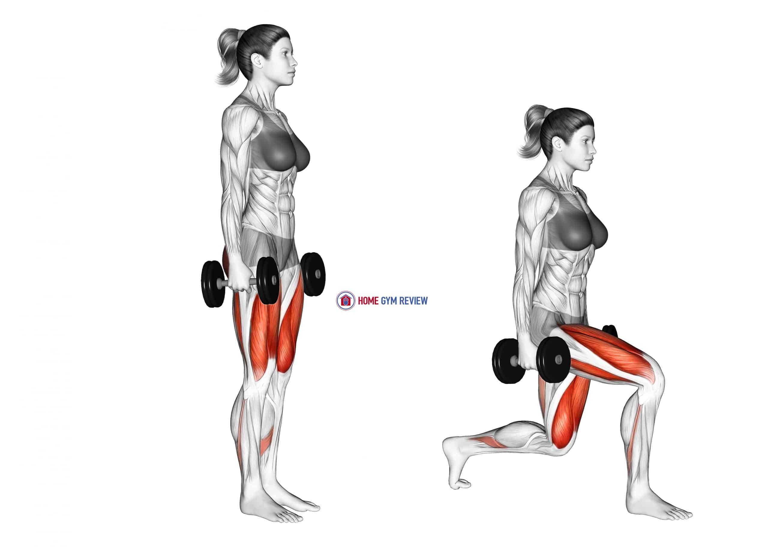 Dumbbell Rear Lunge female Home Gym Review