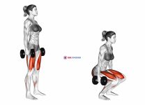 Dumbbell Squat (female)