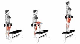 Dumbbell Step Up (female)