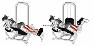Lever Lying Leg Curl (female)
