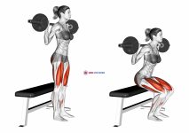 Barbell Bench Squat (female)