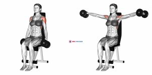 Dumbbell Seated Lateral Raise (female)