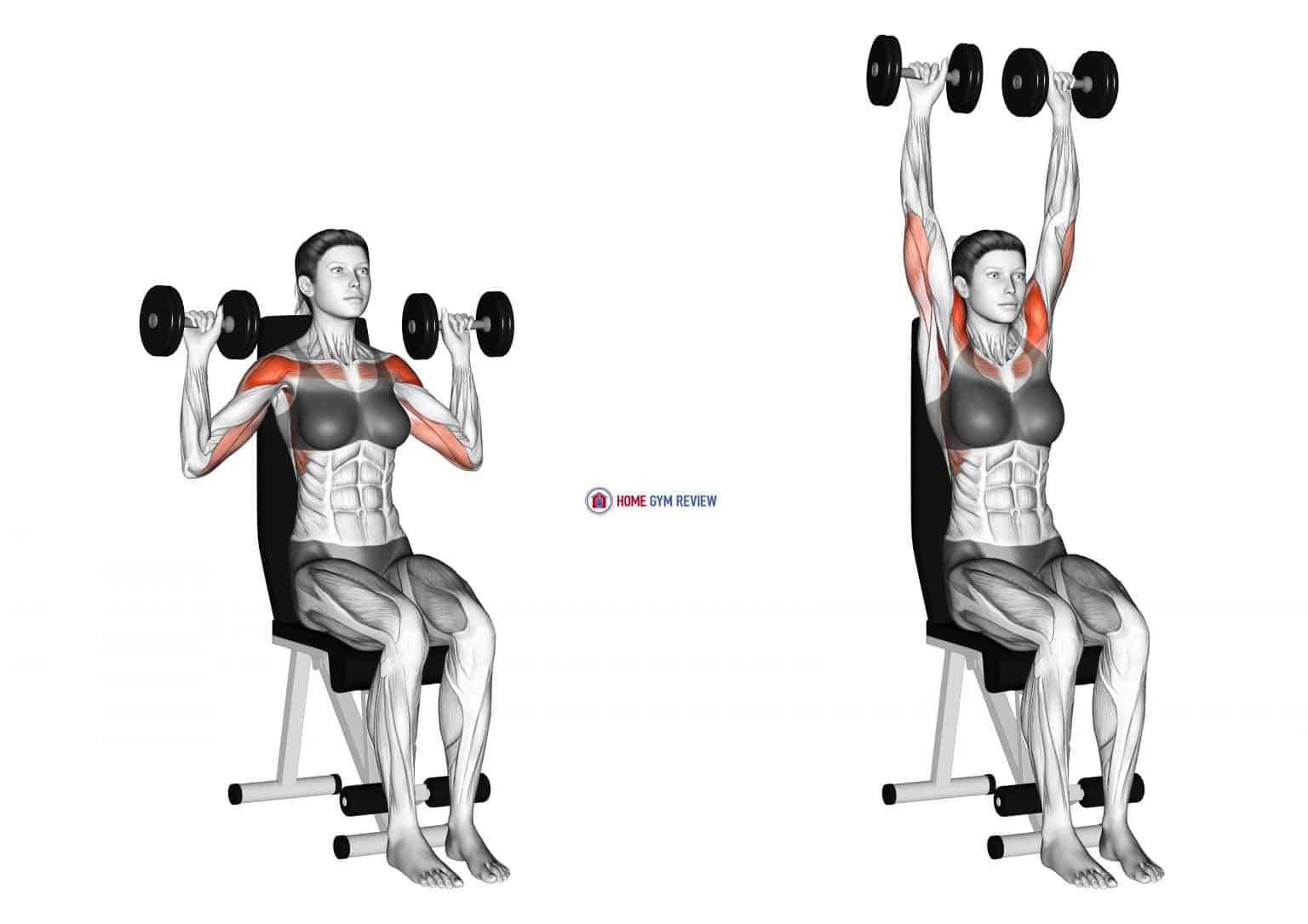 Dumbbell Standing Overhead Press Home Gym Review Dumbbell Standing Overhead Press Home Gym Review
